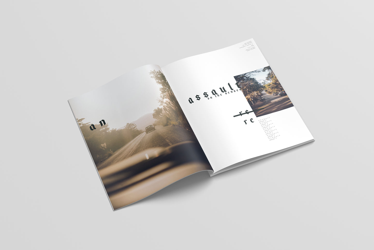 SIGHT 009